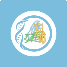 Recombinant Proteins | Beta LifeScience