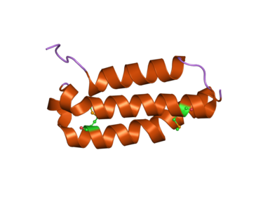 RAMP1: A Member of RAMP Family, Emerging As A Vital Player in Migraine Pain Research!