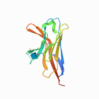 Understanding the Link: TREM2 and Neurodegenerative Disorders