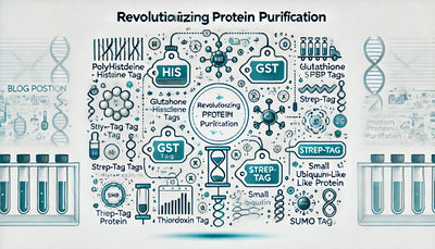 Revolutionizing Protein Purification: The Comprehensive Guide to Fusion Tags