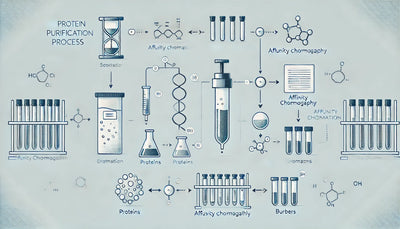 Unlocking the Secrets of Recombinant Protein Purification: A Comprehensive Guide to Affinity Purification, Ion Exchange, and More