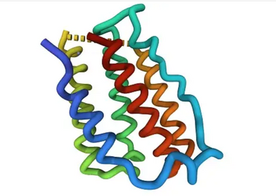 Usage and Development Trends of Recombinant Protein Technology in Clinical Diagnostic Reagents