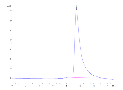 The purity of Mouse IL-2 is greater than 95% as determined by SEC-HPLC.