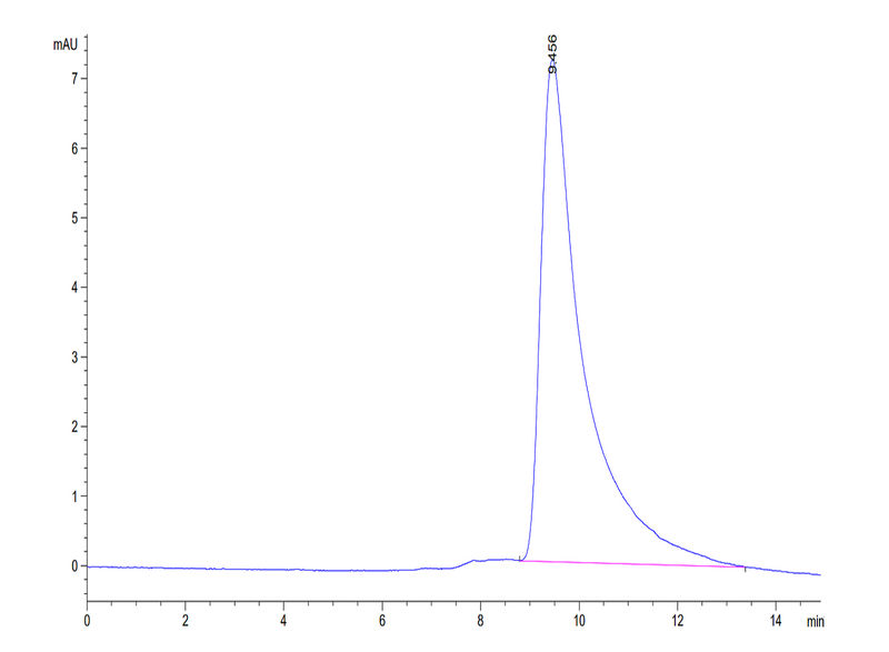 The purity of Mouse IL-2 is greater than 95% as determined by SEC-HPLC.