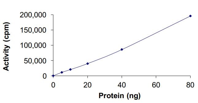 The specific activity of Recombinant Human EGFR (L858R) (668-end) was 151.2 nmol/min/mg in a peptide kinase assay using Poly (4:1, Glu, Tyr) as substrate.