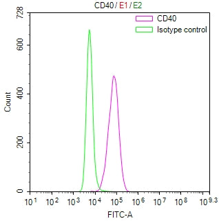 Overlay Peak curve showing THP-1 cells surface stained with CD40 Recombinant Monoclonal Antibody (red line) at 1:100. Then 10% normal goat serum to block non-specific protein-protein interactions followed by the antibody (1ug/1*106cells) for 45min at 4℃. The secondary antibody used was FITC-conjugated Goat Anti-Mouse IgG(H+L) at 1/200 dilution for 35 min at 4°C. Isotype control antibody (green line) was mouse IgG1 (1µg/1*106cells) used under the same conditions. Acquisition of >10,012 events was performed.