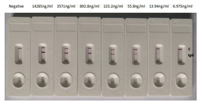 In the Colloidal Gold Immunochromatography Assay | detection system, the background of antibody (S Recombinant Monoclonal Antibody) is clean, the detection limit can be as low as 13.94ng/ml (0.976ng/0.07ml), and the sensitivity is very good.