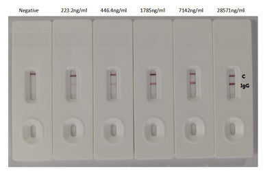 In the Colloidal Gold Immunochromatography Assay detection system, the background of antibody (S Recombinant Monoclonal Antibody) is clean, the detection limit can be as low as 223.2ng/ml (15.625ng/0.07ml), and the sensitivity is very good.