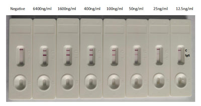 In the Colloidal Gold Immunochromatography Assay detection system, the background of antibody (SARS-CoV-2 Spike RBD Recombinant Nanobody) is clean, the detection limit can be as low as 25ng/ml (1.75ng/0.07ml), and the sensitivity is very good.