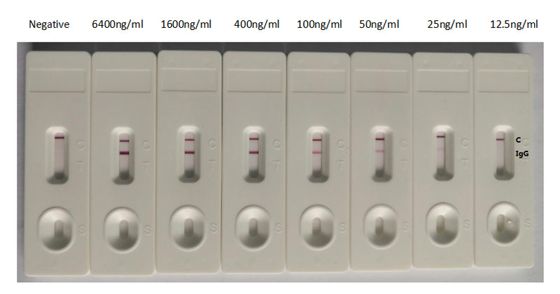 In the Colloidal Gold Immunochromatography Assay detection system, the background of antibody (SARS-CoV-2 Spike RBD Recombinant Nanobody) is clean, the detection limit can be as low as 25ng/ml (1.75ng/0.07ml), and the sensitivity is very good.