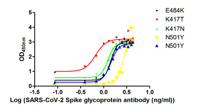 The Binding Activity of S protein with S Recombinant Antibody. Activity: Measured by its binding ability in a functional ELISA. Immobilized S at 2 μg/ml can bind S Recombinant Antibody, the EC50 of S Recombinant Antibody.