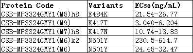 The Binding Activity of S protein with S Recombinant Antibody. Activity: Measured by its binding ability in a functional ELISA. Immobilized S at 2 μg/ml can bind S Recombinant Antibody, the EC50 of S Recombinant Antibody.