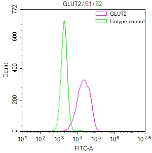 Overlay Peak curve showing HepG2 cells surface stained with SLC2A2 Recombinant Monoclonal Antibody (red line) at 1:50. Then 10% normal goat serum to block non-specific protein-protein interactions followed by the antibody (1µg/1*106cells) for 45min at 4℃. The secondary antibody used was FITC-conjugated Goat Anti-rabbit IgG(H+L) at 1:200 dilution for 35min at 4℃.Control antibody (green line) was rabbit IgG (1µg/1*106cells) used under the same conditions. Acquisition of >10,000 events was performed.