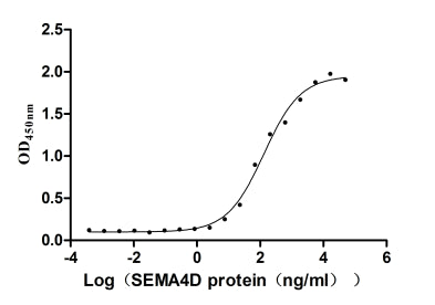 The Binding Activity of Mouse Sema4d with Anti-SEMA4D recombinant antibody. | Activity: Measured by its binding ability in a functional ELISA. Immobilized Mouse Sema4d (the antibody at 2 μg/mL can bind Anti-SEMA4D recombinant antibody, the EC50 is 98.14-174.8 ng/mL.