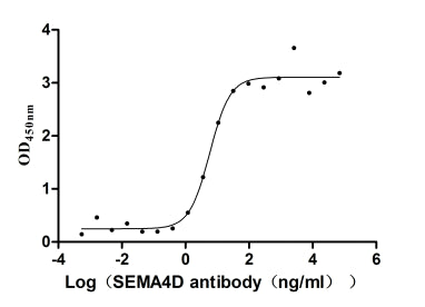 The Binding Activity of Human SEMA4D with Anti-SEMA4D recombinant antibody. | Activity: Measured by its binding ability in a functional ELISA. Immobilized Human SEMA4D (the antibody at 2 μg/mL can bind Anti-SEMA4D recombinant antibody, the EC50 is 1.082-4.805 ng/mL.