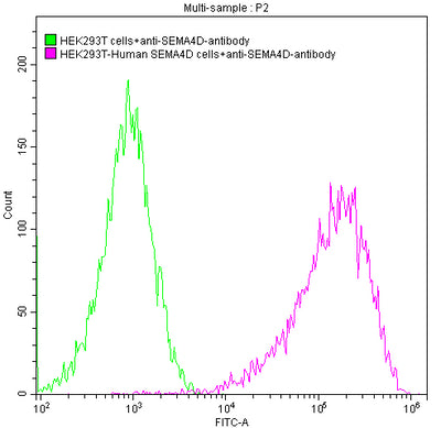 Untransfected HEK293T cells surface (green line) and transfected Human SEMA4D HEK293T stable cells surface (red line) were stained with anti-SEMA4D antibody (2µg/1*106 cells), washed and then followed by FITC-conjugated anti-Human IgG Fc antibody and analyzed with flow cytometry.