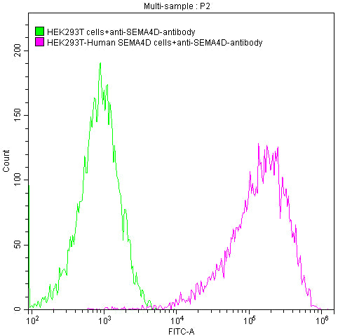 Untransfected HEK293T cells surface (green line) and transfected Human SEMA4D HEK293T stable cells surface (red line) were stained with anti-SEMA4D antibody (2µg/1*106 cells), washed and then followed by FITC-conjugated anti-Human IgG Fc antibody and analyzed with flow cytometry.