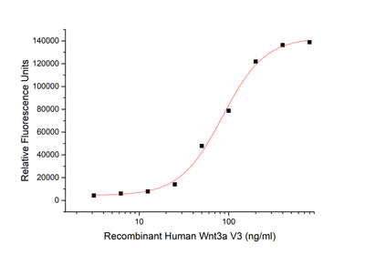 Measured by its ability to induce Topflash reporter activity in HEK293T human embryonic kidney cells.The ED50 for this effect is 71.45 ng/ml.