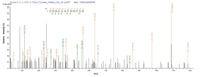 Based on the SEQUEST from database of Baculovirus host and target protein, the LC-MS/MS Analysis result of this product could indicate that this peptide derived from Baculovirus-expressed Streptococcus pyogenes serotype M1 apt.