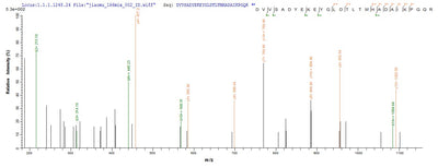 Based on the SEQUEST from database of Baculovirus host and target protein, the LC-MS/MS Analysis result of this product could indicate that this peptide derived from Baculovirus-expressed Streptococcus pyogenes serotype M1 apt.