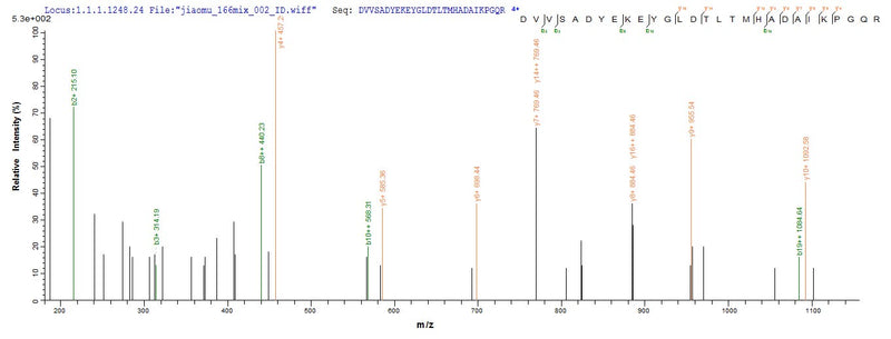 Based on the SEQUEST from database of Baculovirus host and target protein, the LC-MS/MS Analysis result of this product could indicate that this peptide derived from Baculovirus-expressed Streptococcus pyogenes serotype M1 apt.