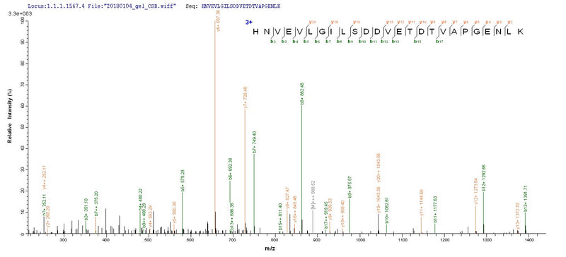 Based on the SEQUEST from database of Baculovirus host and target protein, the LC-MS/MS Analysis result of this product could indicate that this peptide derived from Baculovirus-expressed Homo sapiens (Human) parvovirus B19 (isolate AU) GSPT1.