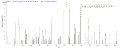 Based on the SEQUEST from database of Baculovirus host and target protein, the LC-MS/MS Analysis result of this product could indicate that this peptide derived from Baculovirus-expressed Streptococcus pneumoniae serotype 4 (strain ATCC BAA-334 / TIGR4) ply.