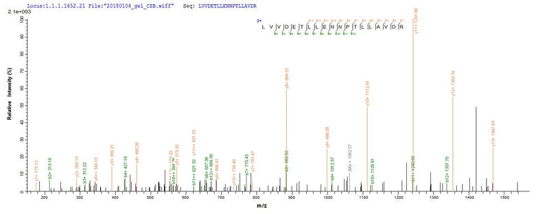 Based on the SEQUEST from database of Baculovirus host and target protein, the LC-MS/MS Analysis result of this product could indicate that this peptide derived from Baculovirus-expressed Streptococcus pneumoniae serotype 4 (strain ATCC BAA-334 / TIGR4) ply.