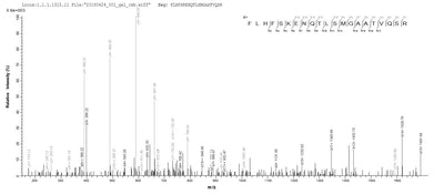 Based on the SEQUEST from database of Baculovirus host and target protein, the LC-MS/MS Analysis result of this product could indicate that this peptide derived from Baculovirus-expressed Homo sapiens (Human) FCRL6.