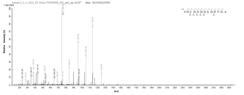 Based on the SEQUEST from database of Baculovirus host and target protein, the LC-MS/MS Analysis result of this product could indicate that this peptide derived from Baculovirus-expressed Homo sapiens (Human) PPP2R2C.