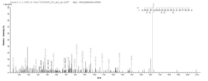 Based on the SEQUEST from database of Baculovirus host and target protein, the LC-MS/MS Analysis result of this product could indicate that this peptide derived from Baculovirus-expressed Homo sapiens (Human) PPP2R2C.