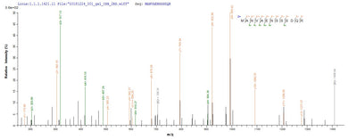 Based on the SEQUEST from database of E.coli host and target protein, the LC-MS/MS Analysis result of this product could indicate that this peptide derived from E.coli-expressed Homo sapiens (Human) BMP7.