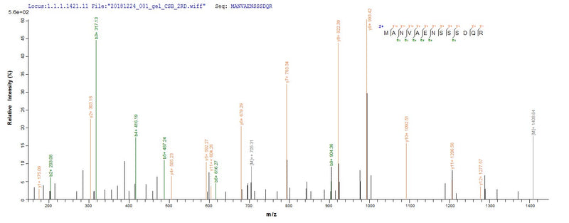 Based on the SEQUEST from database of E.coli host and target protein, the LC-MS/MS Analysis result of this product could indicate that this peptide derived from E.coli-expressed Homo sapiens (Human) BMP7.