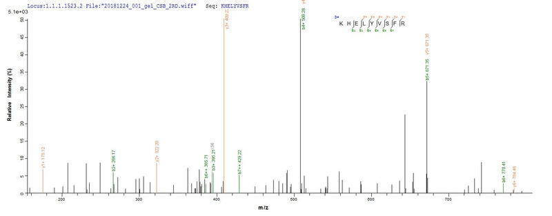 Based on the SEQUEST from database of E.coli host and target protein, the LC-MS/MS Analysis result of this product could indicate that this peptide derived from E.coli-expressed Homo sapiens (Human) BMP7.