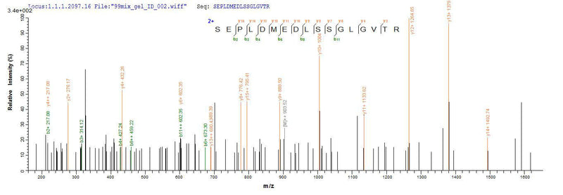 Based on the SEQUEST from database of E.coli host and target protein, the LC-MS/MS Analysis result of this product could indicate that this peptide derived from E.coli-expressed Mus musculus (Mouse) Cd74.