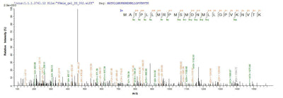 Based on the SEQUEST from database of E.coli host and target protein, the LC-MS/MS Analysis result of this product could indicate that this peptide derived from E.coli-expressed Mus musculus (Mouse) Cd74.