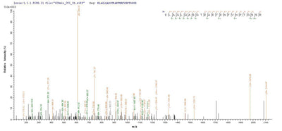 Based on the SEQUEST from database of E.coli host and target protein, the LC-MS/MS Analysis result of this product could indicate that this peptide derived from E.coli-expressed Homo sapiens (Human) CHRM3.