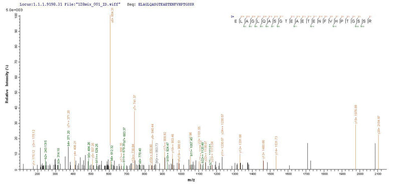 Based on the SEQUEST from database of E.coli host and target protein, the LC-MS/MS Analysis result of this product could indicate that this peptide derived from E.coli-expressed Homo sapiens (Human) CHRM3.