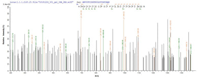 Based on the SEQUEST from database of E.coli host and target protein, the LC-MS/MS Analysis result of this product could indicate that this peptide derived from E.coli-expressed Tetronarce californica (Pacific electric ray) (Torpedo californica) CHRNA1.