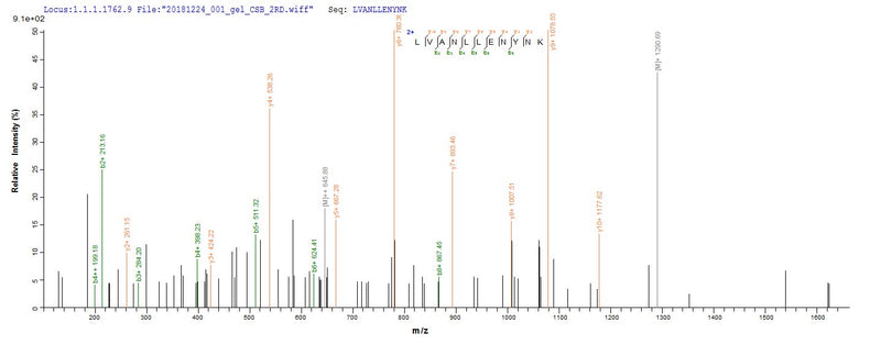 Based on the SEQUEST from database of E.coli host and target protein, the LC-MS/MS Analysis result of this product could indicate that this peptide derived from E.coli-expressed Tetronarce californica (Pacific electric ray) (Torpedo californica) CHRNA1.