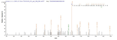 Based on the SEQUEST from database of E.coli host and target protein, the LC-MS/MS Analysis result of this product could indicate that this peptide derived from E.coli-expressed Mus musculus (Mouse) Ctgf.