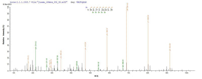 Based on the SEQUEST from database of E.coli host and target protein, the LC-MS/MS Analysis result of this product could indicate that this peptide derived from E.coli-expressed Mus musculus (Mouse) Ctla4.