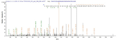 Based on the SEQUEST from database of E.coli host and target protein, the LC-MS/MS Analysis result of this product could indicate that this peptide derived from E.coli-expressed Homo sapiens (Human) CTNNB1.