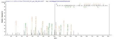 Based on the SEQUEST from database of E.coli host and target protein, the LC-MS/MS Analysis result of this product could indicate that this peptide derived from E.coli-expressed Homo sapiens (Human) CTNNB1.