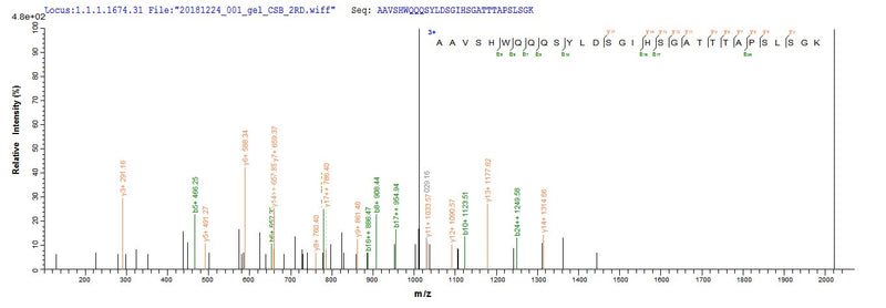 Based on the SEQUEST from database of E.coli host and target protein, the LC-MS/MS Analysis result of this product could indicate that this peptide derived from E.coli-expressed Homo sapiens (Human) CTNNB1.