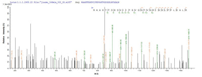 Based on the SEQUEST from database of E.coli host and target protein, the LC-MS/MS Analysis result of this product could indicate that this peptide derived from E.coli-expressed Streptococcus pyogenes serotype M1 pyrG.