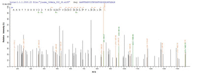 Based on the SEQUEST from database of E.coli host and target protein, the LC-MS/MS Analysis result of this product could indicate that this peptide derived from E.coli-expressed Streptococcus pyogenes serotype M1 pyrG.