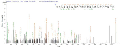 Based on the SEQUEST from database of E.coli host and target protein, the LC-MS/MS Analysis result of this product could indicate that this peptide derived from E.coli-expressed Homo sapiens (Human) DDX3X.