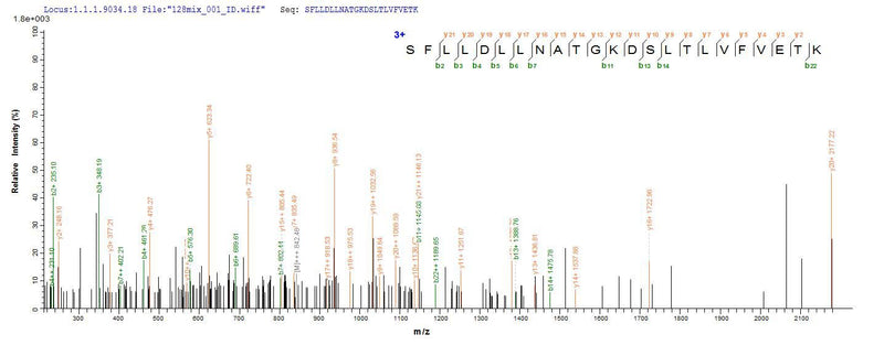 Based on the SEQUEST from database of E.coli host and target protein, the LC-MS/MS Analysis result of this product could indicate that this peptide derived from E.coli-expressed Homo sapiens (Human) DDX3X.