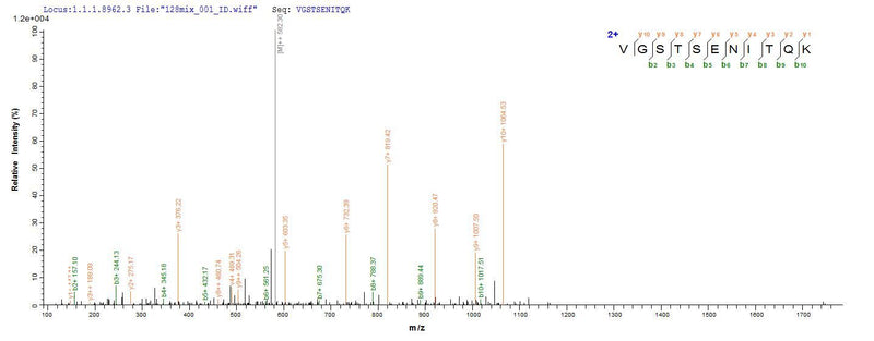 Based on the SEQUEST from database of E.coli host and target protein, the LC-MS/MS Analysis result of this product could indicate that this peptide derived from E.coli-expressed Homo sapiens (Human) DDX3X.